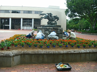 緑のボランティアによる花の植え付け作業。公民館前（左）と昭島駅前（右）の花壇にて。