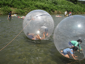 ウォーターバルーン体験（小学生限定）は、透明なビニールのボールに包まれて、川面を転がっていく