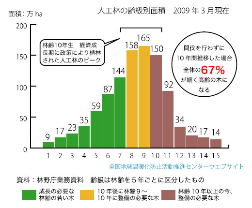 グラフ：人口林の齢級別面積