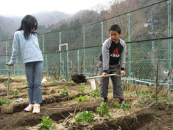 写真：児童たちが畑を耕す様子