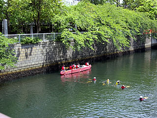 荏原神社の前を泳ぐ隊員たち。川の中のゴミを拾いながら進む