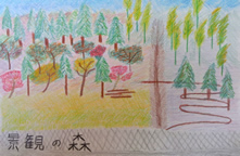 3つの森のビジョンを描いた図