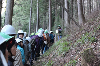 林道や森の散策路を歩きながら、石山さんから森の話を聞く
