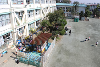 校舎と校庭の間にあるビオトープの全景。
