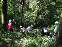 環境教育リーダー養成講座の第1講は、「森林保全活動　－森を体験しよう－」（2014年5月18日）。相模湖畔の若柳嵐山の森にて、NPO法人緑のダム北相模の定例活動に合流・参加した。
