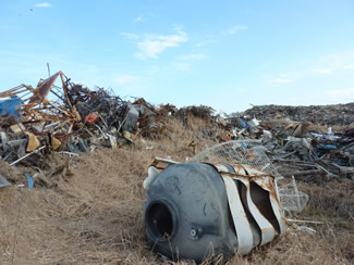 海岸近くの山元町は、津波で300以上あったイチゴ農家が壊滅した。