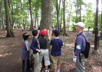 “独歩の森”で樹木観察（武蔵野市立第二小学校5年生）。