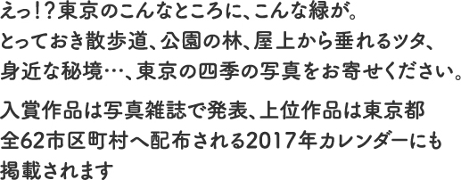 えっ!?東京のこんなところに、こんな緑が。とっておき散歩道、公園の林、屋上から垂れるツタ、身近な秘境…、東京の四季の写真をお寄せください。