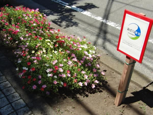 役場の前の道路脇の花壇は、瑞穂第一小学校の5年生が植え付けを担当。花苗の植え付け場所を調整して、簡単なドット文字を描いたという（取材時には花が茂って、はっきりとはわからなくなっていた）。