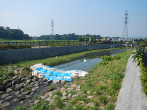 霞川は、普段の水量が少ないため、西多摩建設事務所の協力により、土嚢を積んで堰き止めている。