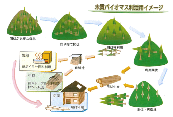 木材バイオマスの利活用イメージ