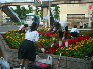 中学校のボランティア部による花の植え付け作業の様子。昭島駅近くの保健福祉センターの前にある花壇にて。