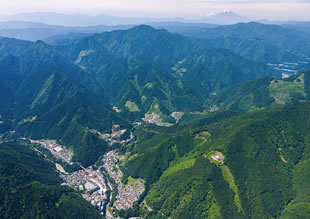 奥多摩町の森林