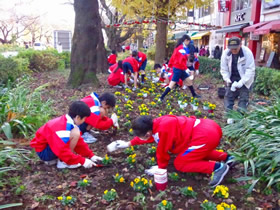大学通り花と緑検討会を中心に実施した、大学通り緑地帯・夏の花植え