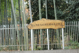 「狛江弁財天池特別緑地保全地区」と大書され、閉鎖管理地区の柵にかかる木製の看板。左手には竹が林立する。