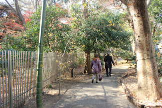 閉鎖管理地区の柵外には、木々の間を歩けるように散策路も整備され、通勤・通学や散策路などとして利用されている。