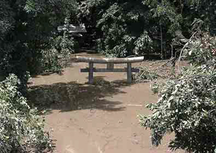 泥流で埋まった椎取神社（平成12年7月29日）