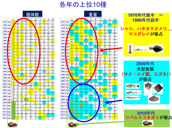図3　東京湾20定点調査（1977年～2015年）における個体数CPUE（左）と重量CPUE（右）の上位10種