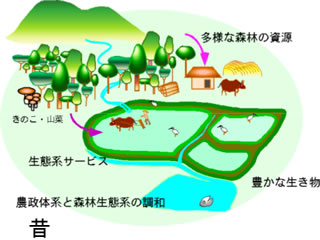 図２　昔の農村と里山