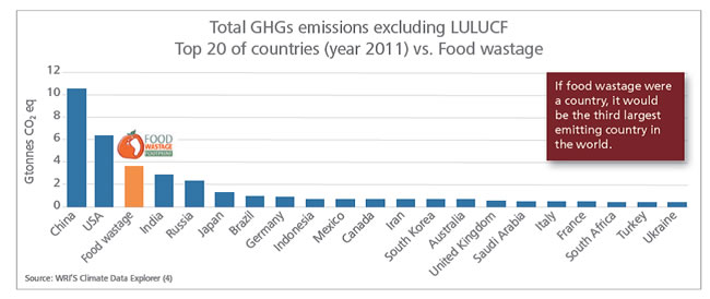 温室効果ガス総排出量（LULUCFを除く）の上位20か国と、食品ロスによる排出量の比較（2011年のデータをもとにFAO算出）