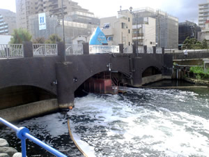 発電機は橋の下の水面下に設置されている。