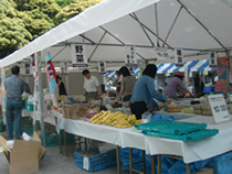 【写真】「エコライフ・フェアMINATO2011」内で、毎年恒例の「エコバザー in エコライフ・フェア」を開催（2011年5月21日、有栖川宮記念公園にて）。