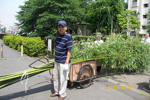 鷺宮八幡神社からもらってきた竹をリヤカーで運搬。緑のカーテンの支柱に使った。