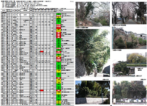 『板橋区の樹林地──区の資料と自主調査レポート②』（2010年3月発行）より抜粋。色別に塗り分けられている欄が、樹林地の変化状況を表す（赤が「消失」、黄色は「減少」、緑は「残存」など）。写真は、現地を踏査して確認した調査当時の現況。