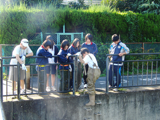 東久留米総合高校の生徒たちも川におりてゴミを拾う