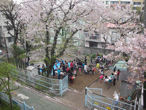 昨年度末の3月31日に開催した『さくらパーティー』での一幕。満開の桜が心地よい雰囲気を演出