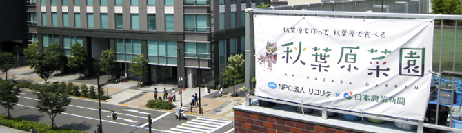 日本農業新聞社の屋上に開園している『秋葉原菜園』（NPO法人リコリタ提供）