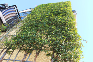 羽村市にある小作さんの工房の“高垣緑化”。