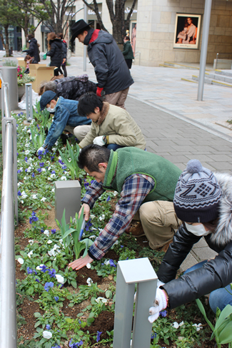 六本木けやき坂通りの花壇にチューリップの球根苗を植えるGREEN UPの参加者たち。