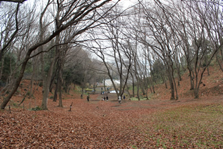 城山公園。武蔵野の丘陵地を生かした雑木林の中の公園だ。