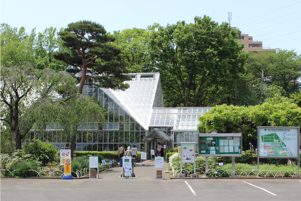 正門から望む東京都薬用植物園。入場無料、特に来園手続等は必要なく、自由に入って散策を楽しむことができる。三角屋根のガラス栽培室は温室と冷房室に分かれて、それぞれの気候に合った植物を栽培している。