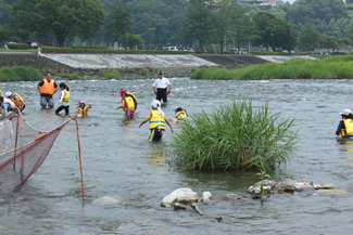 多摩川の川流れで遊ぶ。子どもたちは、川の流れに身を任せてプカプカと浮きながら、川の流れに漂う。