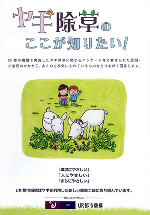 住民にヤギのことを知ってもらうため、パンフレットなどを作って配布した。ヤギを放した草地の上にかかる「三の橋」の欄干にも、パンフレットの抜粋を貼り出して、ヤギについて知ってもらうための情報提供を行っている。