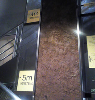 階段に表示されている地上からの標高差。階段の柱には、小平付近の地層を復元した土壌断面標本が展示されている