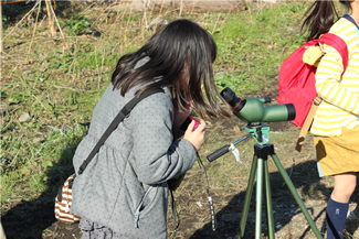 単眼の望遠鏡を覗いて、野鳥の観察。