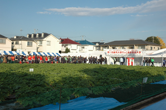 競技大会の会場となった練馬区南大泉にある練馬大根の畑。毎年、練馬区内の生産者の畑で持ち回りで開催されるという。朝8時から受付が始まり、9時にはたくさんの人が集まっていた。