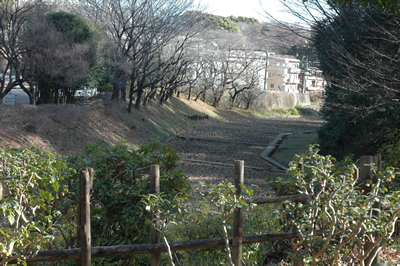 オスカー・ケルネルの名前から「ケルネル田んぼ」と愛称される谷戸田。明治11（1878）年に開校した農学校の一部で、日本で最初の試験田、実習田として使われた。今も筑波大学附属駒場中学校、高等学校の生徒により稲作が行われている。