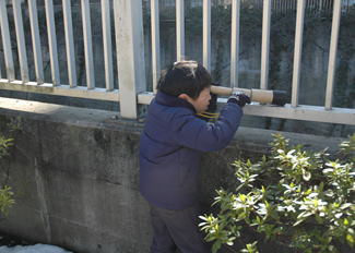 手作りのガリレオ型望遠鏡で、神田川に浮かぶ野鳥を観察する少年。