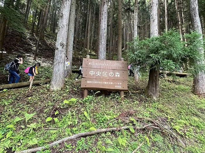 道路沿いに立てられた「中央区の森」の標識。