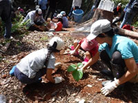 小笠原村：村民参加の森づくりプロジェクト