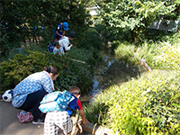国分寺市：東京の名湧水「姿見の池」でアメリカザリガニ捕獲大作戦を行いました！